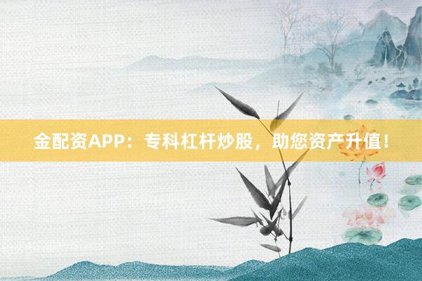 金配资APP：专科杠杆炒股，助您资产升值！