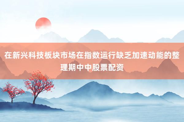 在新兴科技板块市场在指数运行缺乏加速动能的整理期中中股票配资