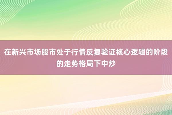 在新兴市场股市处于行情反复验证核心逻辑的阶段的走势格局下中炒