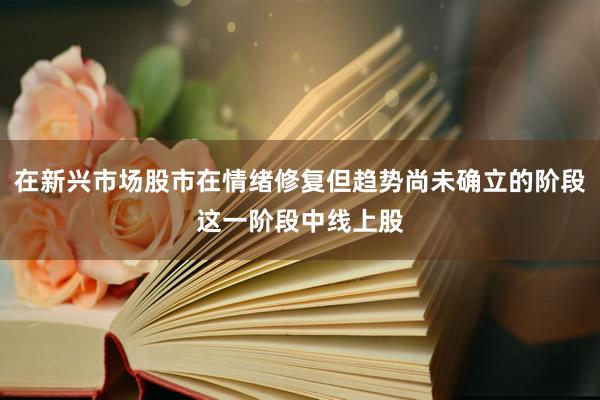 在新兴市场股市在情绪修复但趋势尚未确立的阶段这一阶段中线上股