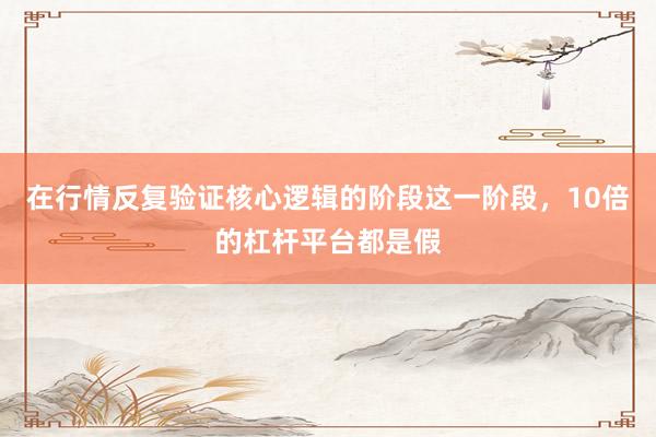 在行情反复验证核心逻辑的阶段这一阶段，10倍的杠杆平台都是假