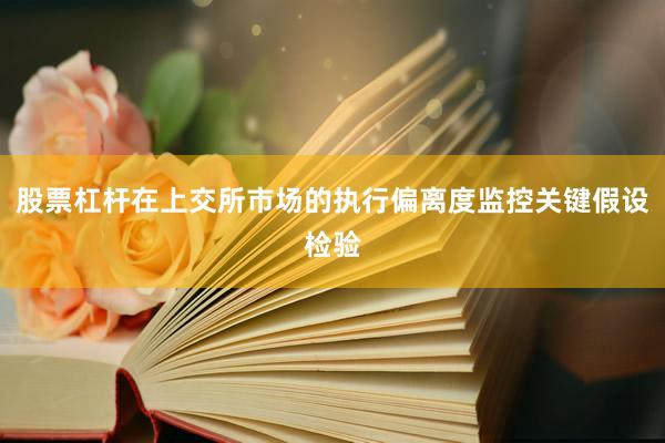 股票杠杆在上交所市场的执行偏离度监控关键假设检验