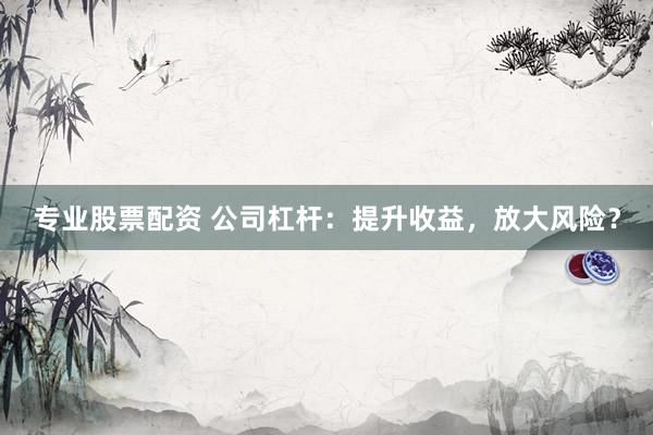 专业股票配资 公司杠杆：提升收益，放大风险？